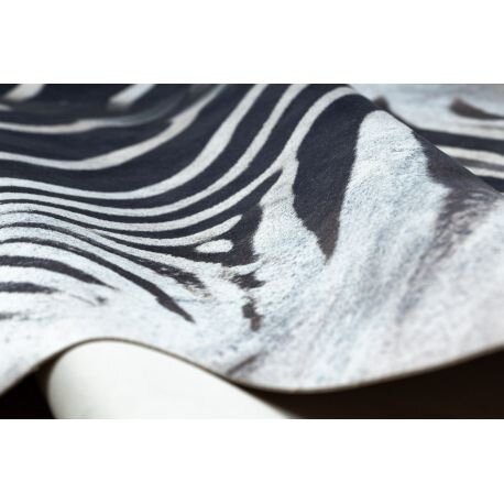 Kilimas Zebras G5128-1 Balta ir juoda 3 Kilimas Zebras G5128-1 Balta ir juoda 3