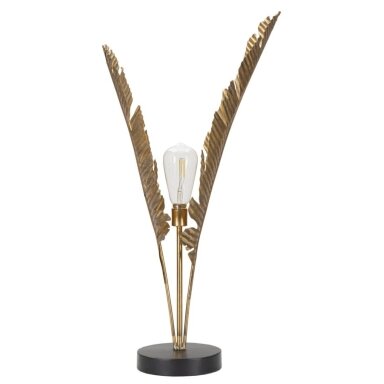 PASTATOMA LEMPA PALM