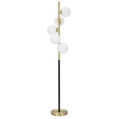 PASTATOMA LEMPA GLAMY DARK