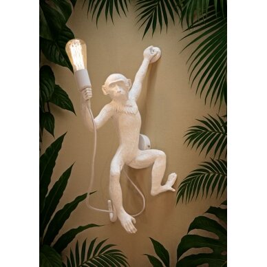 SIENINĖ LEMPA MONKEY BIANCA 8 SIENINĖ LEMPA MONKEY BIANCA 8