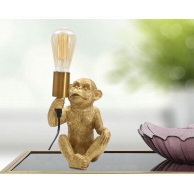 STALINĖ LEMPA MONKEY 5