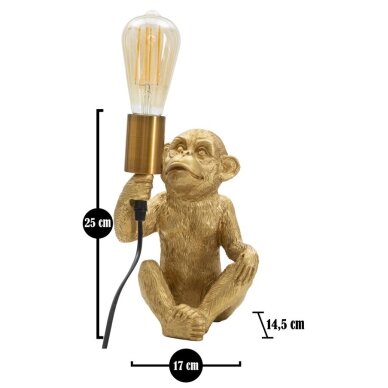 STALINĖ LEMPA MONKEY 6