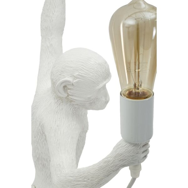 SIENINĖ LEMPA MONKEY BIANCA 6