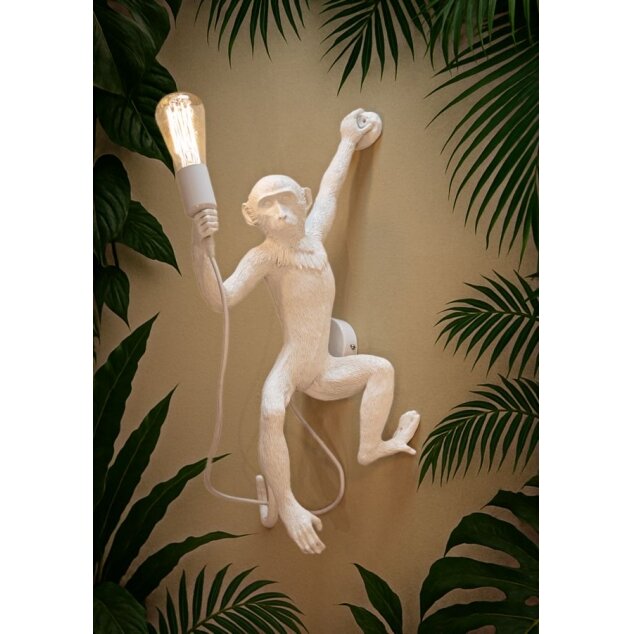 SIENINĖ LEMPA MONKEY BIANCA 8